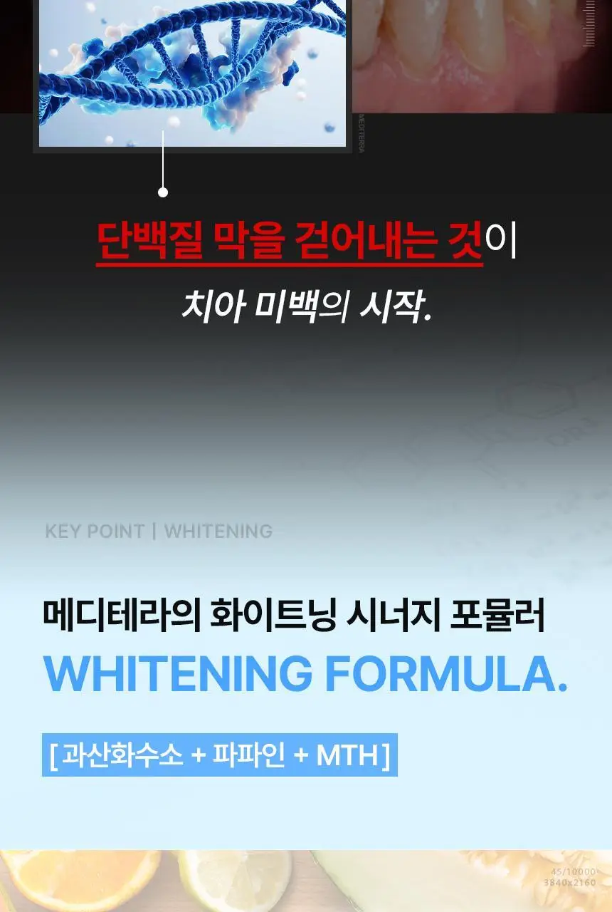 [인체시험적용완료] 프로벨 메디테라 미백 치약 100g 1개입/3개입 상세페이지 12